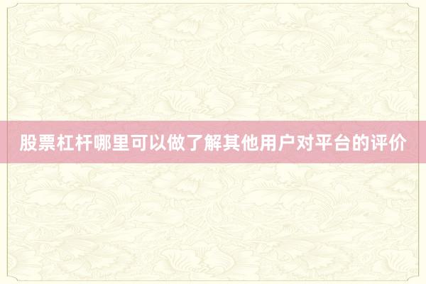 股票杠杆哪里可以做了解其他用户对平台的评价