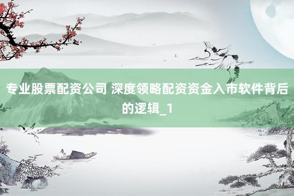 专业股票配资公司 深度领略配资资金入市软件背后的逻辑_1
