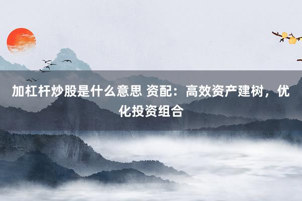 加杠杆炒股是什么意思 资配：高效资产建树，优化投资组合